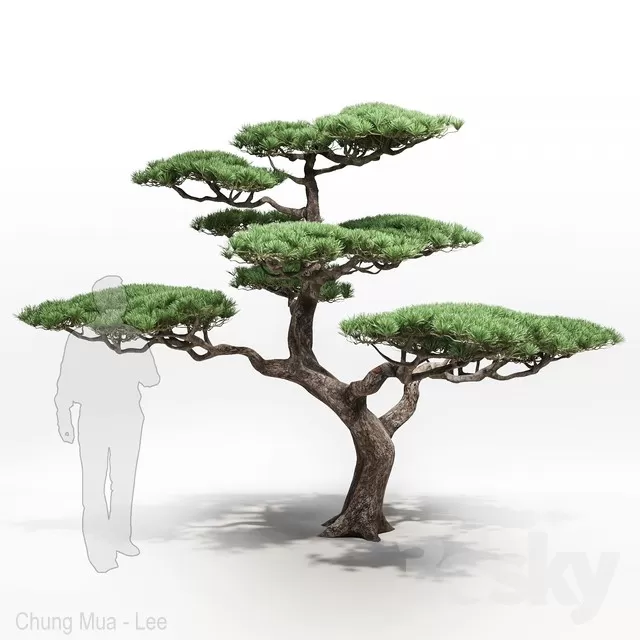 PLANT - EXTERIOR 3D MODELS