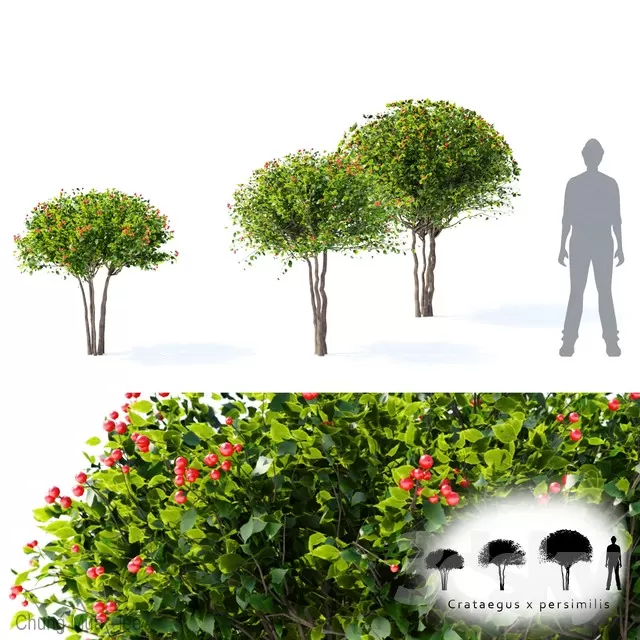 PLANT - EXTERIOR 3D MODELS