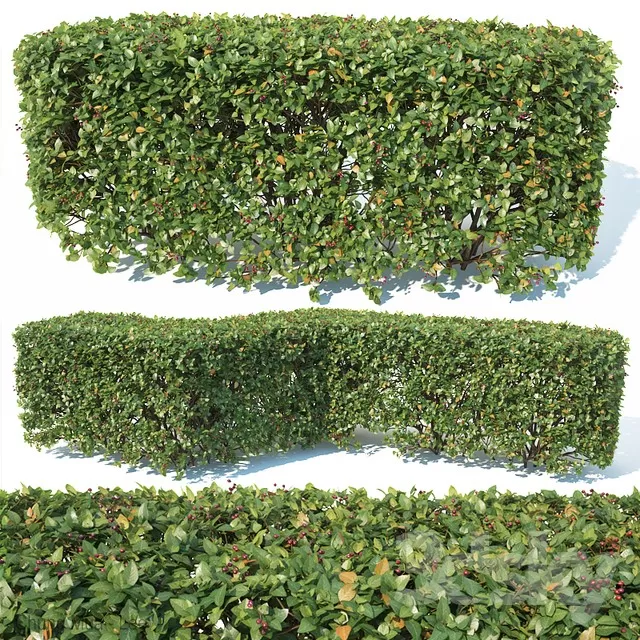 PLANT - EXTERIOR 3D MODELS