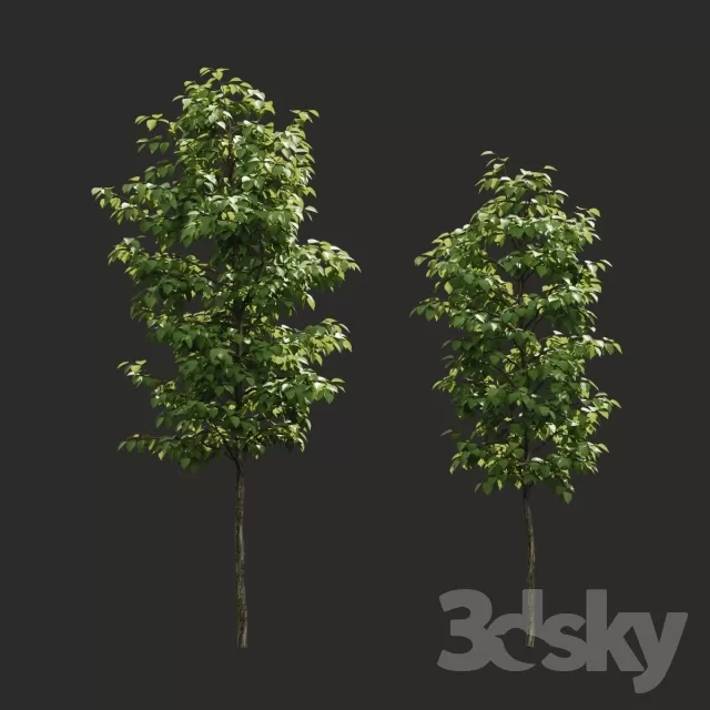 3DSKYFREE – PLANT - EXTERIOR 3DS MAX MODELS