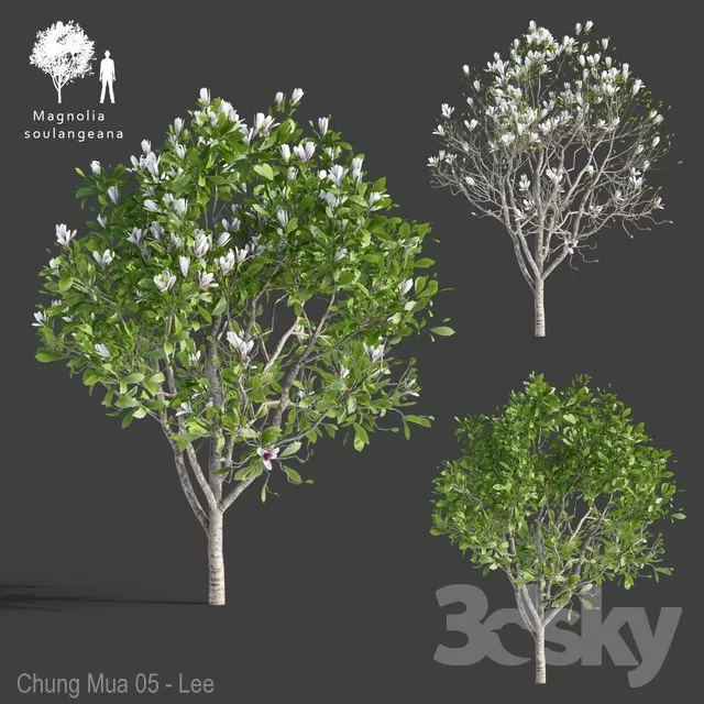 3DSKYFREE – PLANT - EXTERIOR 3DS MAX MODELS
