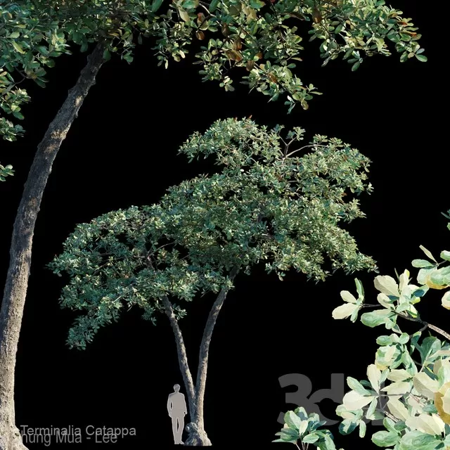 3DSKYFREE – PLANT - EXTERIOR 3DS MAX MODELS