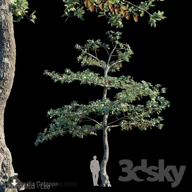 3DSKYFREE – PLANT - EXTERIOR 3DS MAX MODELS