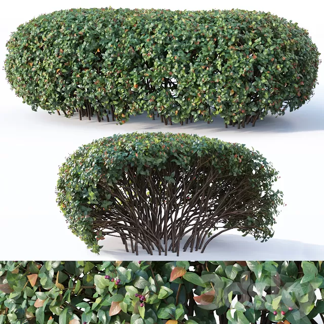 3DSKYFREE – PLANT - EXTERIOR 3DS MAX MODELS