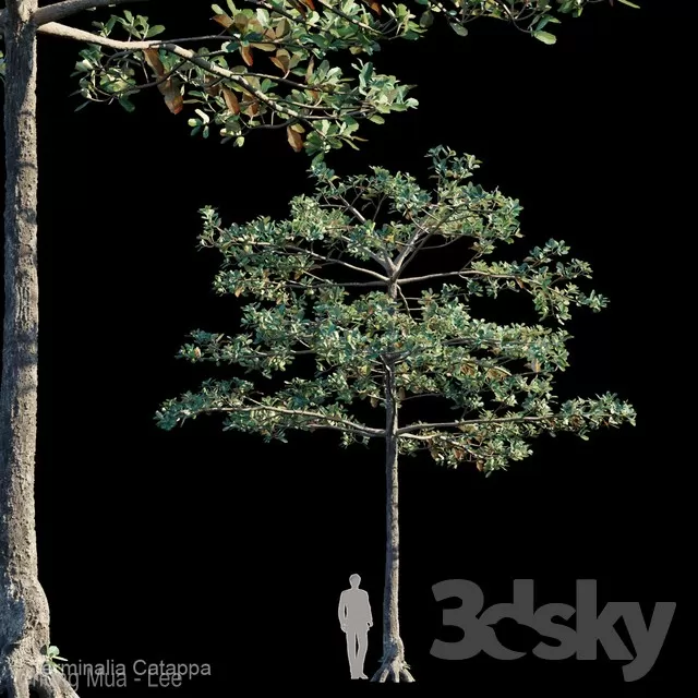 3DSKYFREE – PLANT - EXTERIOR 3DS MAX MODELS