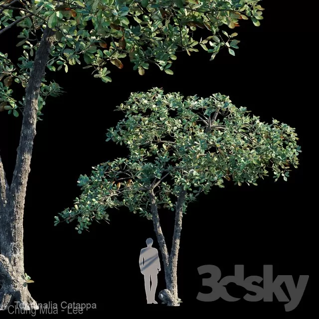 3DSKYFREE – PLANT - EXTERIOR 3DS MAX MODELS