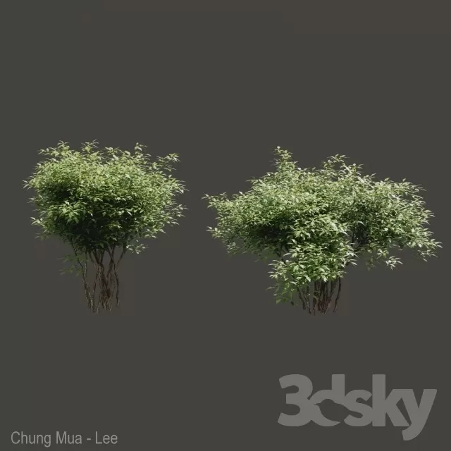 3DSKYFREE – PLANT - EXTERIOR 3DS MAX MODELS