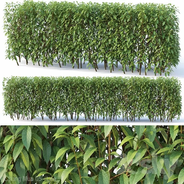 3DSKYFREE – PLANT - EXTERIOR 3DS MAX MODELS