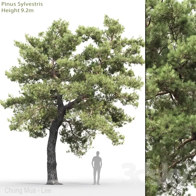 3DSKYFREE – PLANT - EXTERIOR 3DS MAX MODELS