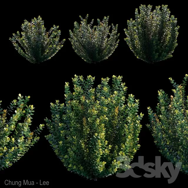 PLANT - EXTERIOR 3D MODELS