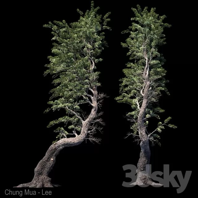 PLANT - EXTERIOR 3D MODELS