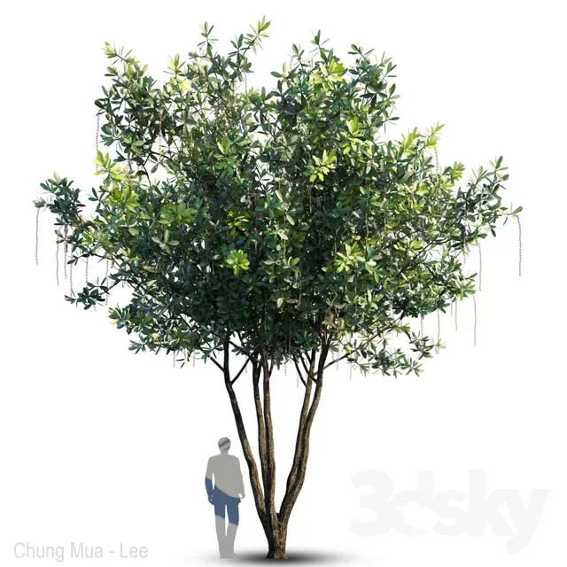 PLANT - EXTERIOR 3D MODELS