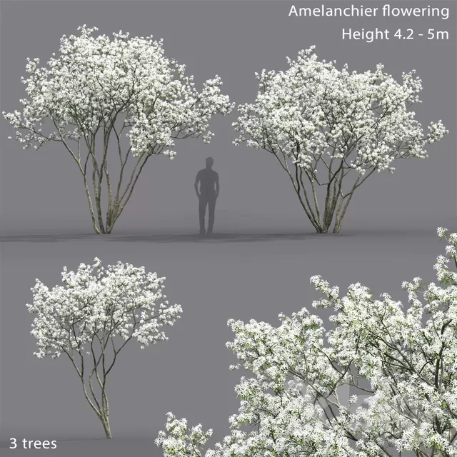 3DSKYFREE – PLANT - EXTERIOR 3DS MAX MODELS