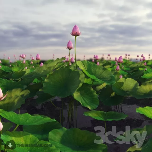 3DSKYFREE – PLANT - EXTERIOR 3DS MAX MODELS