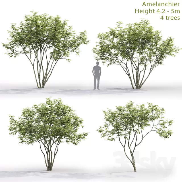 3DSKYFREE – PLANT - EXTERIOR 3DS MAX MODELS