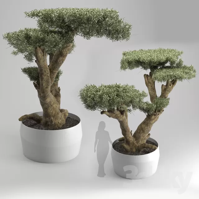 PLANT - EXTERIOR 3D MODELS