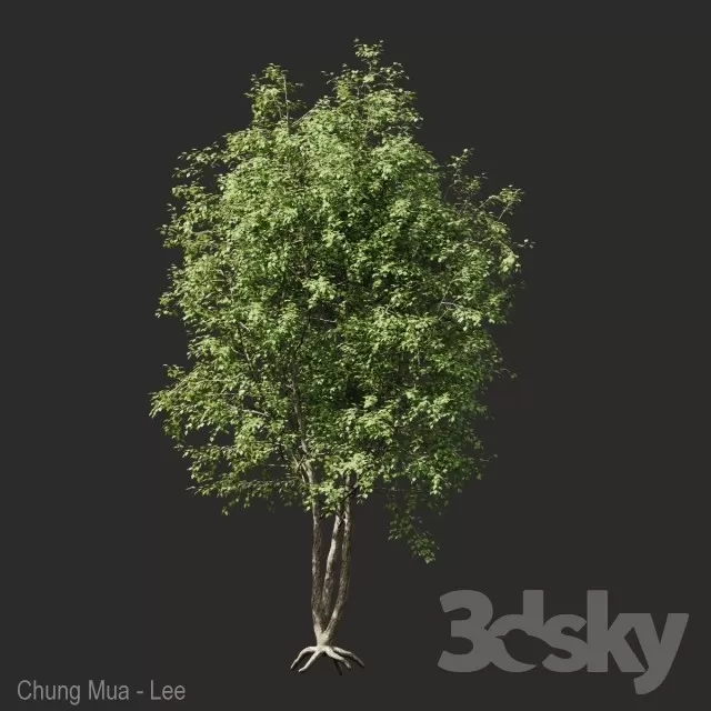 3DSKYFREE – PLANT - EXTERIOR - BIG 3DS MAX MODELS