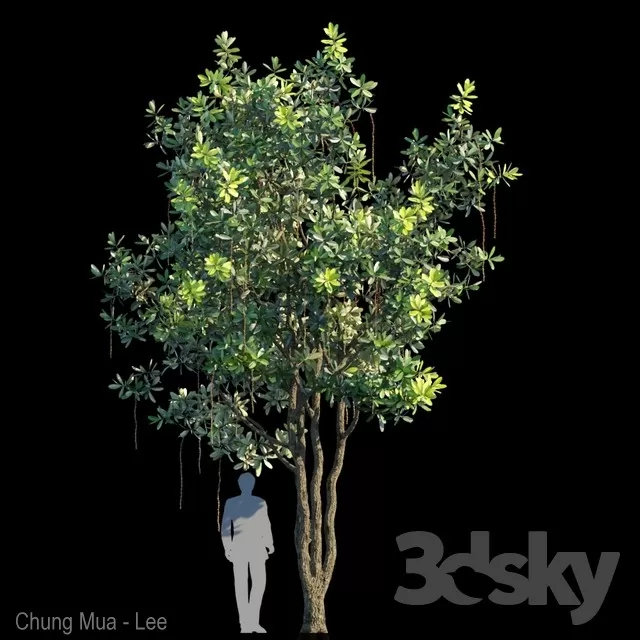 3DSKYFREE – PLANT - EXTERIOR - BIG 3DS MAX MODELS