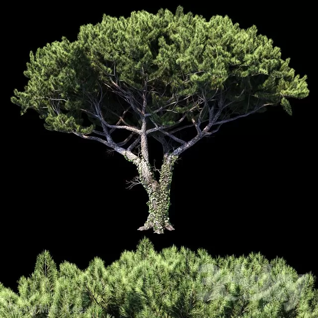 3DSKYFREE – PLANT - EXTERIOR - BIG 3DS MAX MODELS