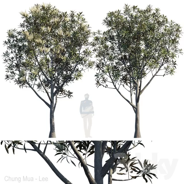 3DSKYFREE – PLANT - EXTERIOR - BIG 3DS MAX MODELS