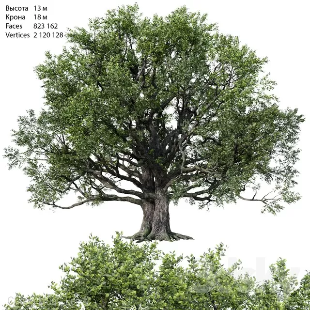 3DSKYFREE – PLANT - EXTERIOR - BIG 3DS MAX MODELS