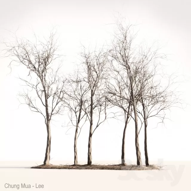 3DSKYFREE – PLANT - EXTERIOR - BIG 3DS MAX MODELS