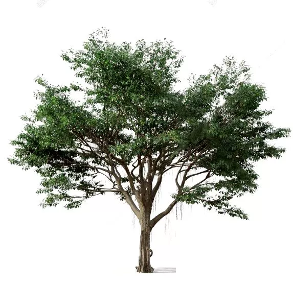 3DSKYFREE – PLANT - EXTERIOR - BIG 3DS MAX MODELS