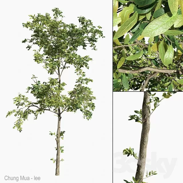 3DSKYFREE – PLANT - EXTERIOR - BIG 3DS MAX MODELS