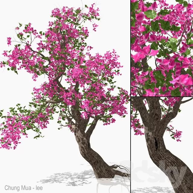 3DSKYFREE – PLANT - EXTERIOR - BIG 3DS MAX MODELS