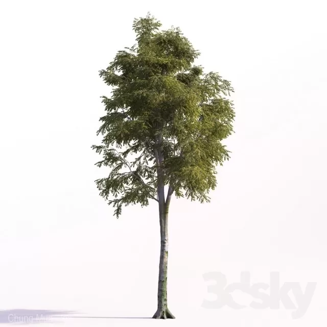 3DSKYFREE – PLANT - EXTERIOR - BIG 3DS MAX MODELS
