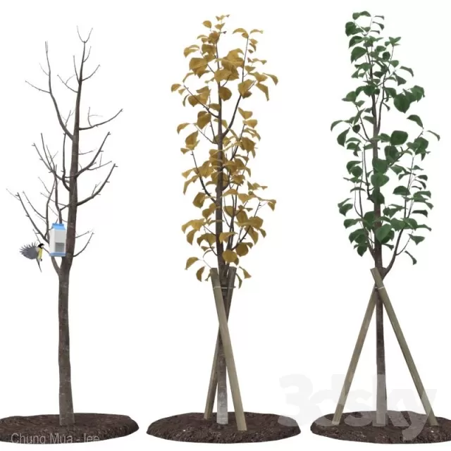 3DSKYFREE – PLANT - EXTERIOR - BIG 3DS MAX MODELS