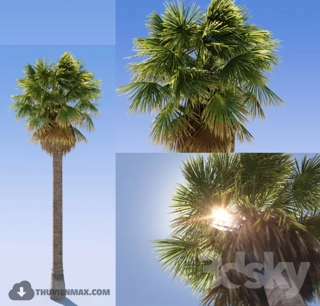 3DSKYFREE – PLANT - EXTERIOR - BIG 3DS MAX MODELS