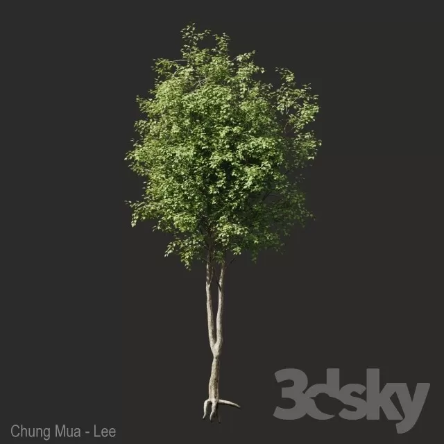 3DSKYFREE – PLANT - EXTERIOR - BIG 3DS MAX MODELS