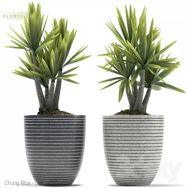 3DSKYFREE – PLANT - FLOOR 3DS MAX MODELS