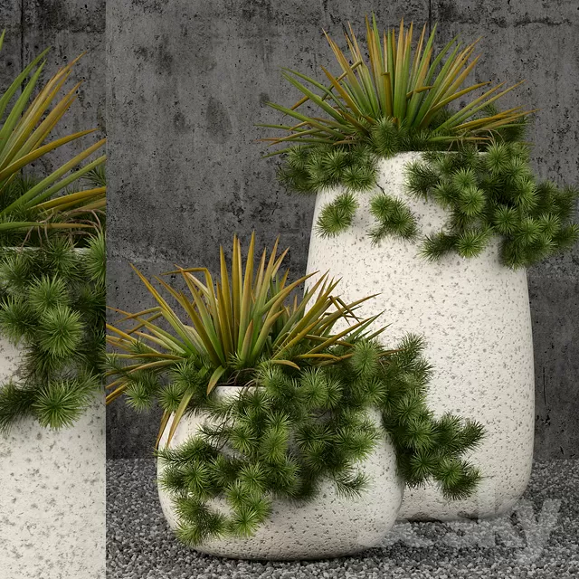 3DSKYFREE – PLANT - FLOOR 3DS MAX MODELS