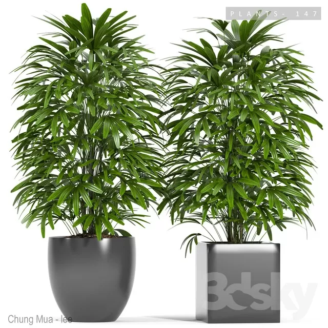 3DSKYFREE – PLANT - FLOOR 3DS MAX MODELS