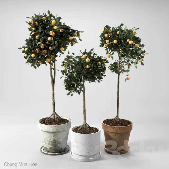 3DSKYFREE – PLANT - FLOOR 3DS MAX MODELS