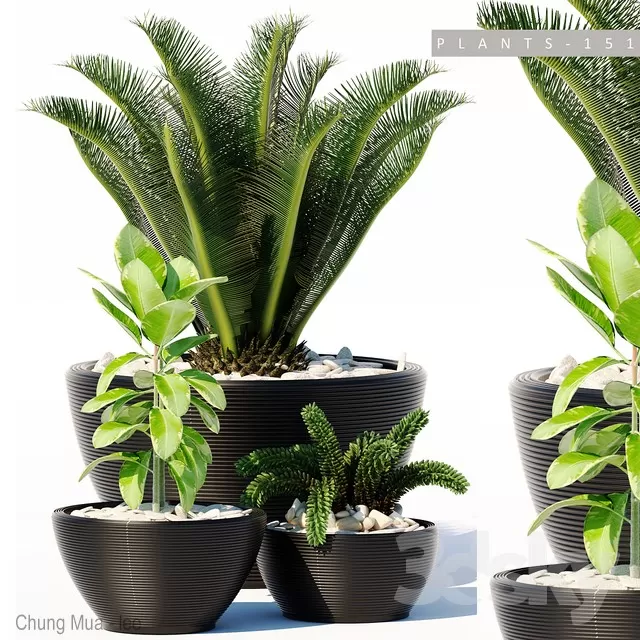 3DSKYFREE – PLANT - FLOOR 3DS MAX MODELS