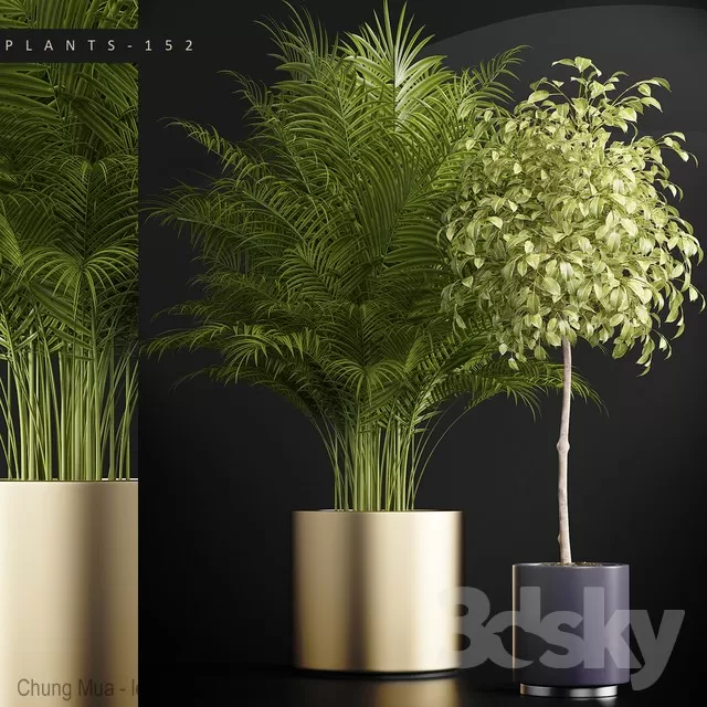 3DSKYFREE – PLANT - FLOOR 3DS MAX MODELS