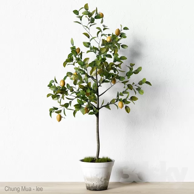 3DSKYFREE – PLANT - FLOOR 3DS MAX MODELS