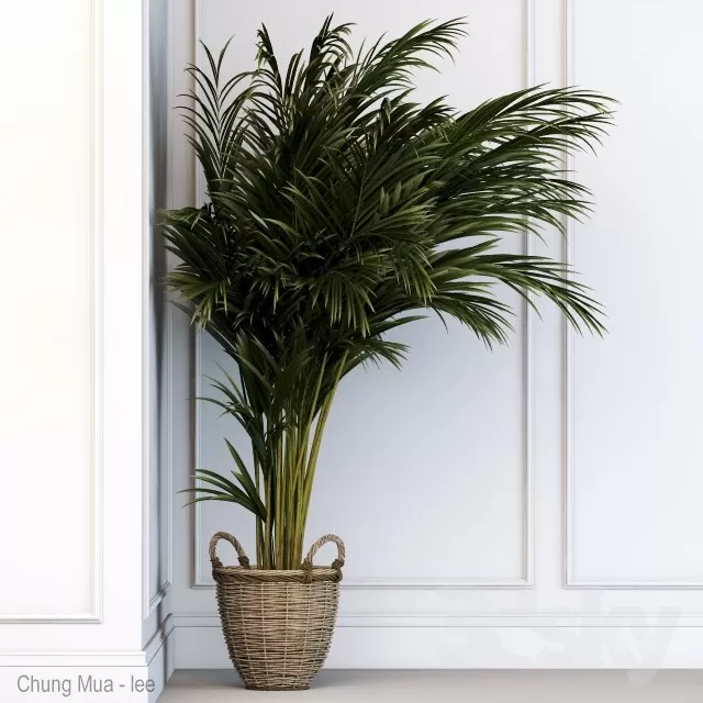 3DSKYFREE – PLANT - FLOOR 3DS MAX MODELS