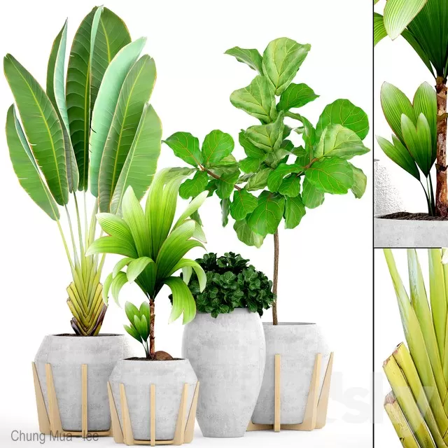 3DSKYFREE – PLANT - FLOOR 3DS MAX MODELS