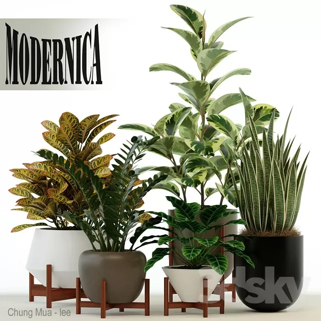 3DSKYFREE – PLANT - FLOOR 3DS MAX MODELS