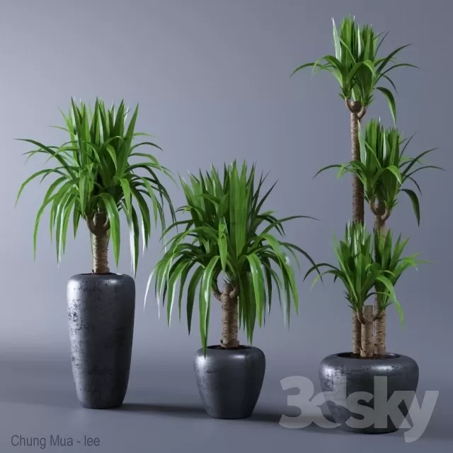 3DSKYFREE – PLANT - FLOOR 3DS MAX MODELS