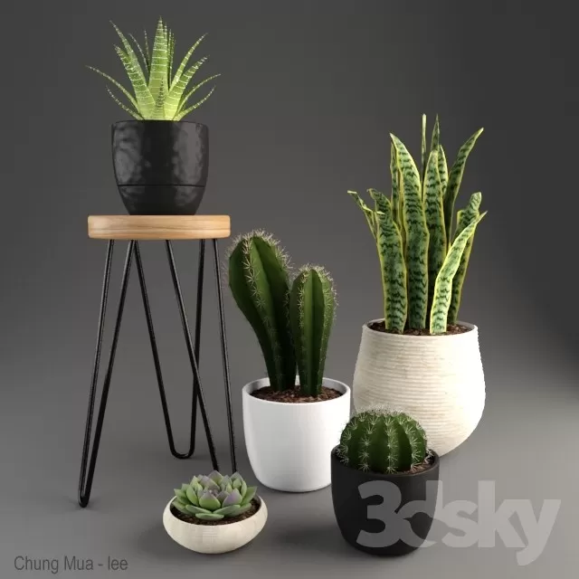 3DSKYFREE – PLANT - FLOOR 3DS MAX MODELS