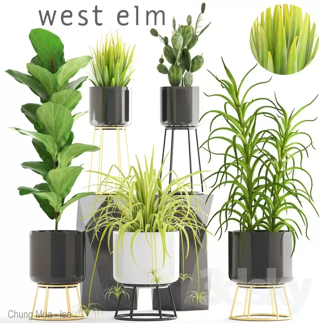 3DSKYFREE – PLANT - FLOOR 3DS MAX MODELS