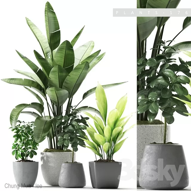 3DSKYFREE – PLANT - FLOOR 3DS MAX MODELS