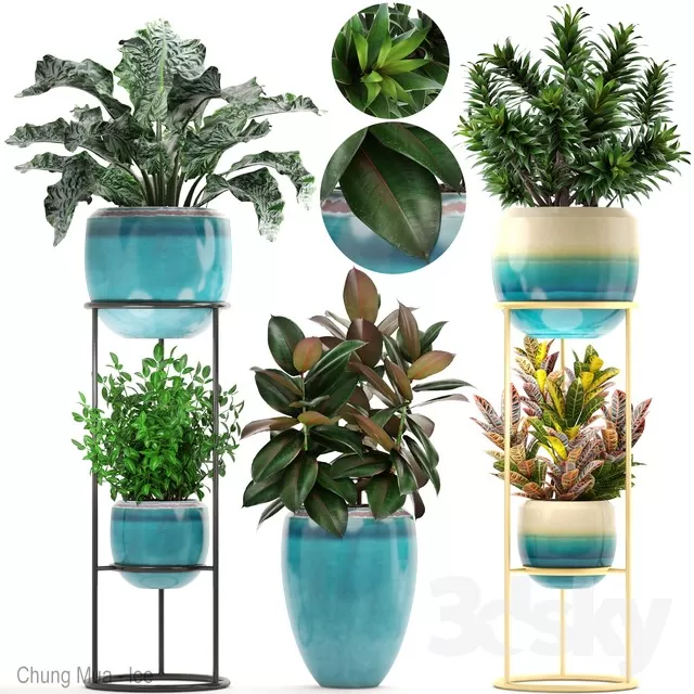 3DSKYFREE – PLANT - FLOOR 3DS MAX MODELS