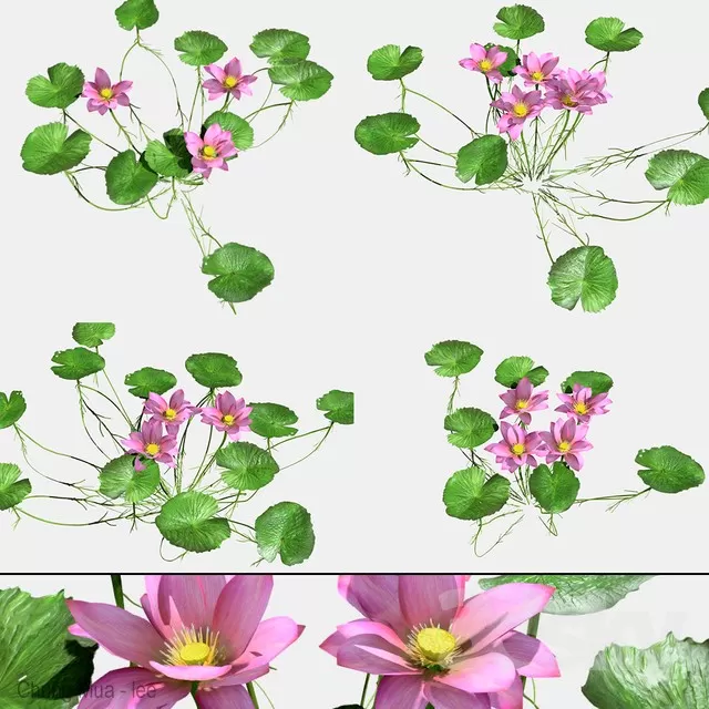 3DSKYFREE – PLANT - FLOOR 3DS MAX MODELS