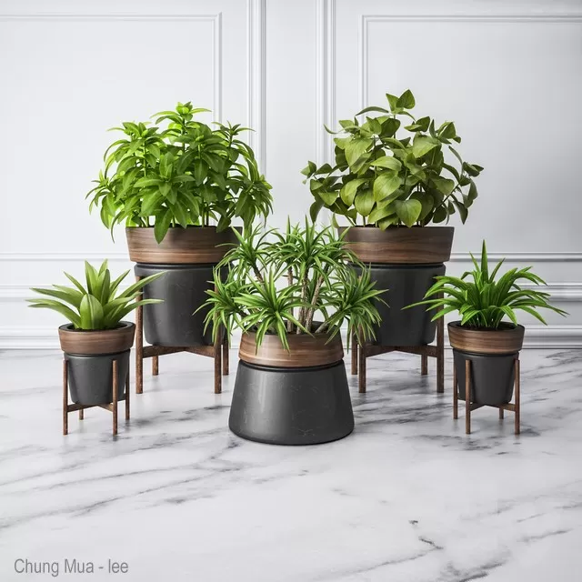 3DSKYFREE – PLANT - FLOOR 3DS MAX MODELS